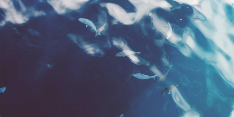 洛阳家装建材选购全攻略:从建材供应到装饰工程的避坑指南