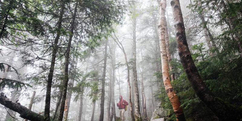 洛阳建材配送服务哪家好?深度解析建材供应、装饰与建筑工程材料的选择之道
